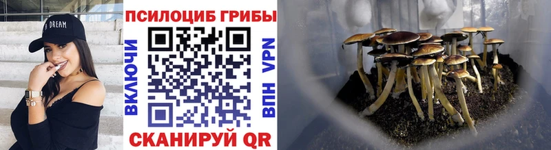 omg вход Старый Крым Галлюциногенные грибы мухоморы